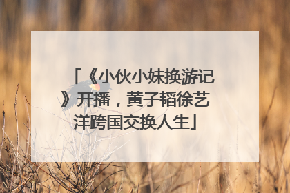 《小伙小妹换游记》开播，黄子韬徐艺洋跨国交换人生