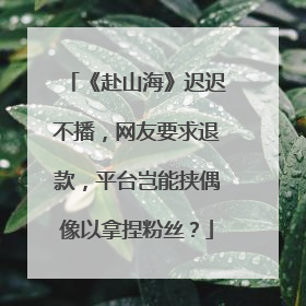 《赴山海》迟迟不播，网友要求退款，平台岂能挟偶像以拿捏粉丝？