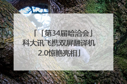 「第34届哈洽会」科大讯飞携双屏翻译机2.0惊艳亮相