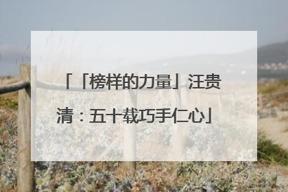「榜样的力量」汪贵清：五十载巧手仁心
