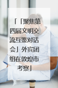 「聚焦第四届文明交流互鉴对话会」外宾团组在敦煌市考察