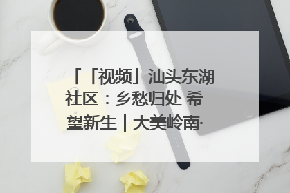 「视频」汕头东湖社区：乡愁归处 希望新生｜大美岭南·百村焕新记