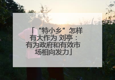 “特小乡”怎样有大作为 刘亭：有为政府和有效市场相向发力