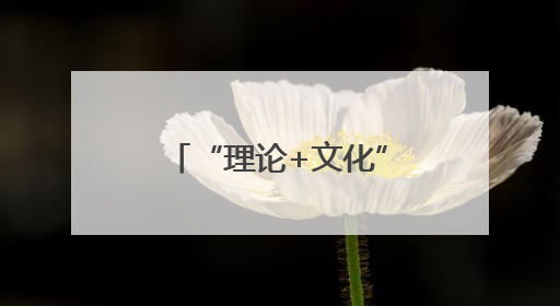 “理论+文化”：嘉兴黄岩联动，乡村振兴添活力