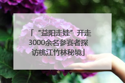 “益阳走娃”开走 3000余名参赛者探访桃江竹林秘境
