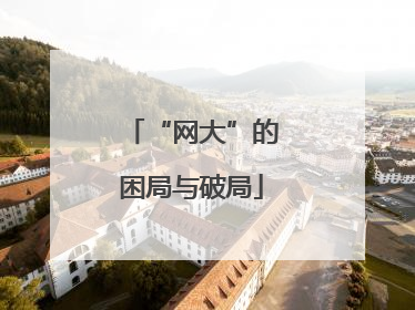 “网大”的困局与破局