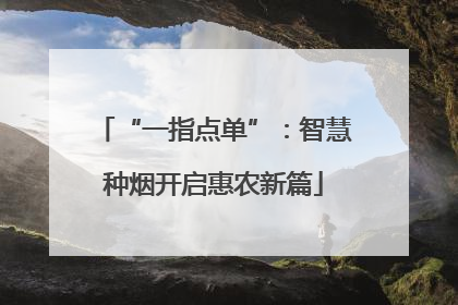 “一指点单”：智慧种烟开启惠农新篇