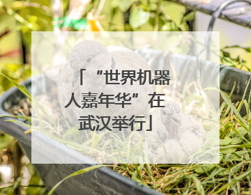 “世界机器人嘉年华”在武汉举行