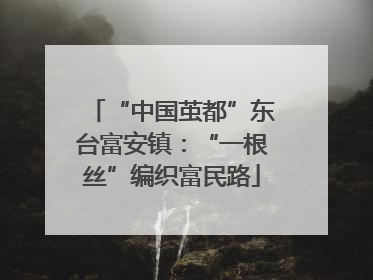 “中国茧都”东台富安镇：“一根丝”编织富民路