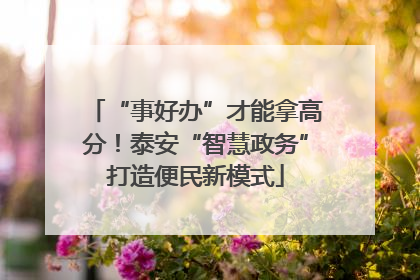 “事好办”才能拿高分！泰安“智慧政务”打造便民新模式