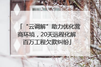 “云调解”助力优化营商环境，20天远程化解百万工程欠款纠纷