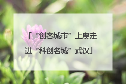 “创客城市”上虞走进“科创名城”武汉