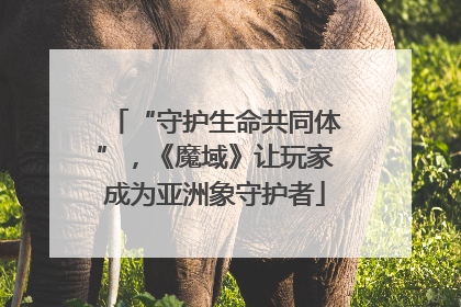 “守护生命共同体”，《魔域》让玩家成为亚洲象守护者
