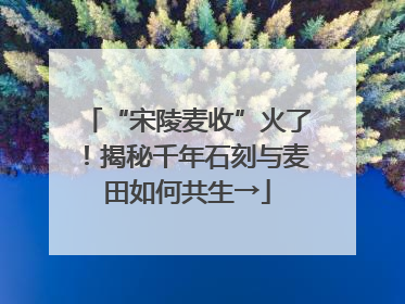 “宋陵麦收”火了！揭秘千年石刻与麦田如何共生→