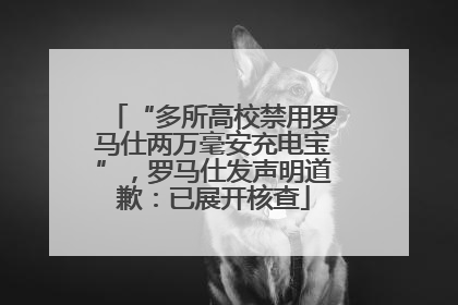 “多所高校禁用罗马仕两万毫安充电宝”，罗马仕发声明道歉：已展开核查