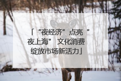 “夜经济”点亮“夜上海” 文化消费绽放市场新活力