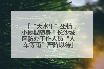 “大水牛”坐镇，小撬棍随身！长沙城区防办工作人员“人车等雨”严阵以待