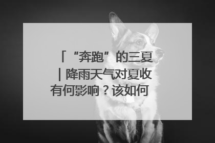 “奔跑”的三夏｜降雨天气对夏收有何影响？该如何防范？一文了解