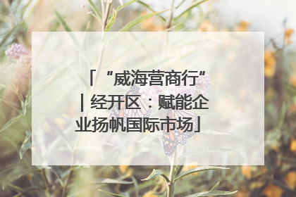 “威海营商行”｜经开区：赋能企业扬帆国际市场