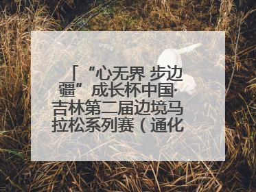 “心无界 步边疆”成长杯中国·吉林第二届边境马拉松系列赛（通化站）开赛