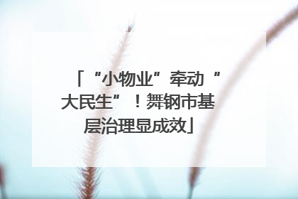 “小物业”牵动“大民生”！舞钢市基层治理显成效