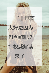 “干巴菌太好是因为打药施肥？”权威解读来了