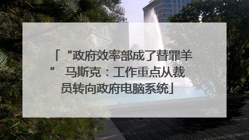 “政府效率部成了替罪羊” 马斯克：工作重点从裁员转向政府电脑系统