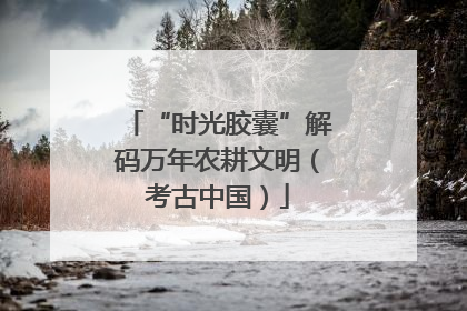 “时光胶囊”解码万年农耕文明（考古中国）