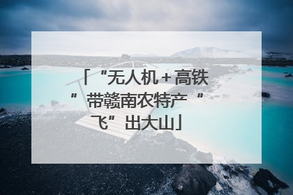 “无人机＋高铁”带赣南农特产“飞”出大山