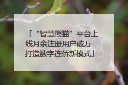 “智慧熊猫”平台上线月余注册用户破万 打造数字连侨新模式