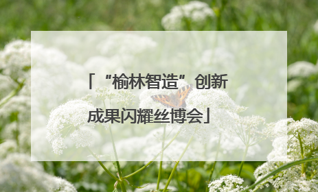 “榆林智造”创新成果闪耀丝博会