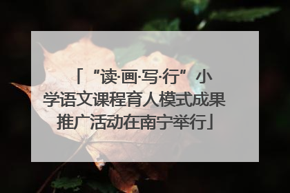 “读·画·写·行”小学语文课程育人模式成果推广活动在南宁举行
