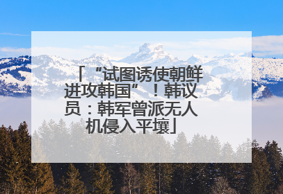“试图诱使朝鲜进攻韩国”！韩议员：韩军曾派无人机侵入平壤