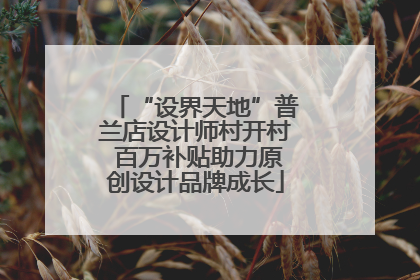 “设界天地”普兰店设计师村开村 百万补贴助力原创设计品牌成长