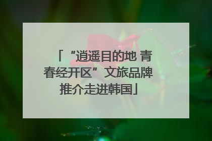 “逍遥目的地 青春经开区”文旅品牌推介走进韩国