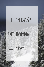 “阳光空间”晒出致富“籽”