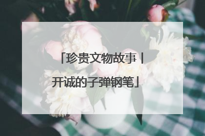 珍贵文物故事丨开诚的子弹钢笔