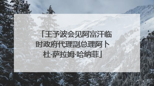 王予波会见阿富汗临时政府代理副总理阿卜杜·萨拉姆·哈纳菲