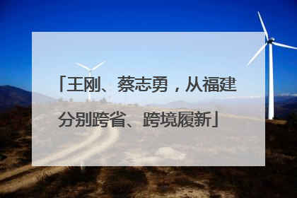 王刚、蔡志勇，从福建分别跨省、跨境履新