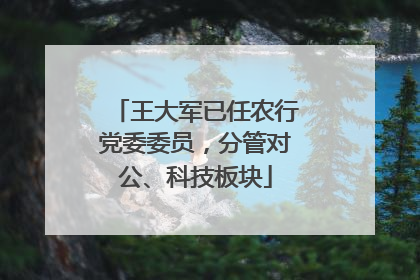 王大军已任农行党委委员，分管对公、科技板块