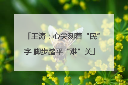 王涛：心尖刻着“民”字 脚步踏平“难”关