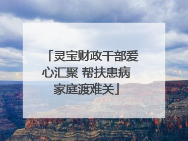 灵宝财政干部爱心汇聚 帮扶患病家庭渡难关