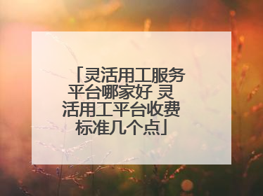 灵活用工服务平台哪家好 灵活用工平台收费标准几个点