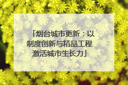 烟台城市更新：以制度创新与精品工程激活城市生长力
