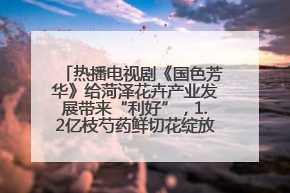 热播电视剧《国色芳华》给菏泽花卉产业发展带来“利好”，1.2亿枝芍药鲜切花绽放“国色芳华”