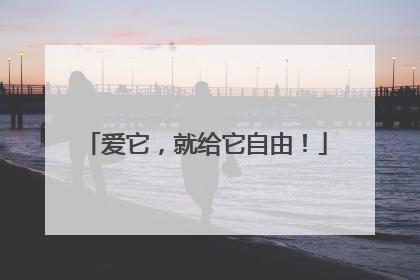 爱它，就给它自由！