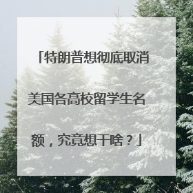 特朗普想彻底取消美国各高校留学生名额，究竟想干啥？