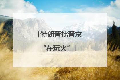 特朗普批普京“在玩火”