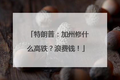 特朗普：加州修什么高铁？浪费钱！