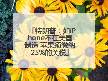 特朗普：如iPhone不在美国制造 苹果须缴纳25%的关税
